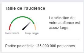 audience potentielle facebook ads