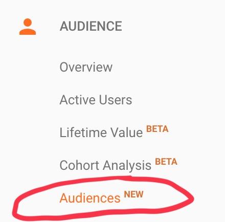 Pour collecter des données dans ce rapport, vous devez d'abord configurer des audiences dans votre compte Google Analytics.