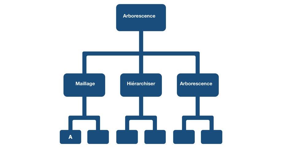 Arborescence Site Comment Construire Une Bonne Structure Seo Junto