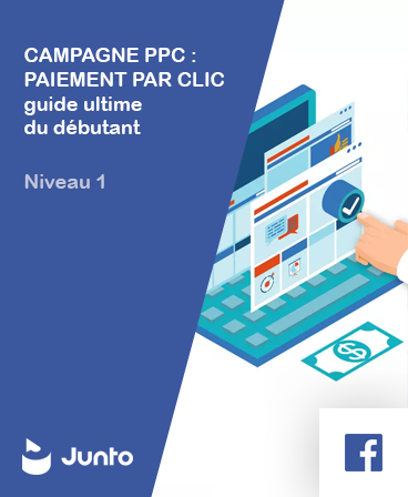 Campagne PPC: Paiement Par Clic Guide Ultime Du Debutant – niveau 1